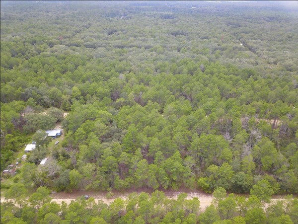 00 Norman Avenue, Interlachen, FL 32148 (Putnam county)